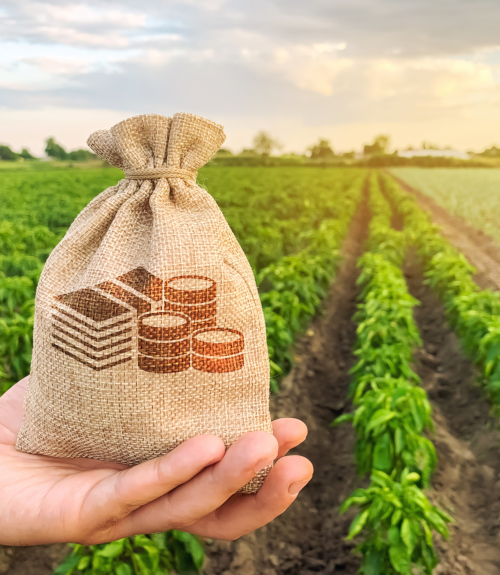 Investimenti produttivi per la competitività delle aziende agricole