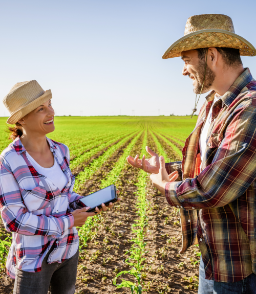Erogazione dei servizi di consulenza alle imprese agricole